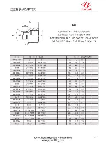 BSP Man Cone Female BSP Fitting
