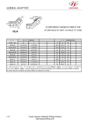Mannelijke BSP-kegel JIC flare E45